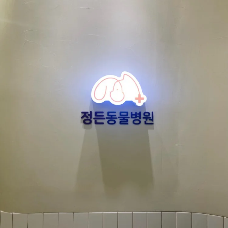 정든동물병원 사진 2