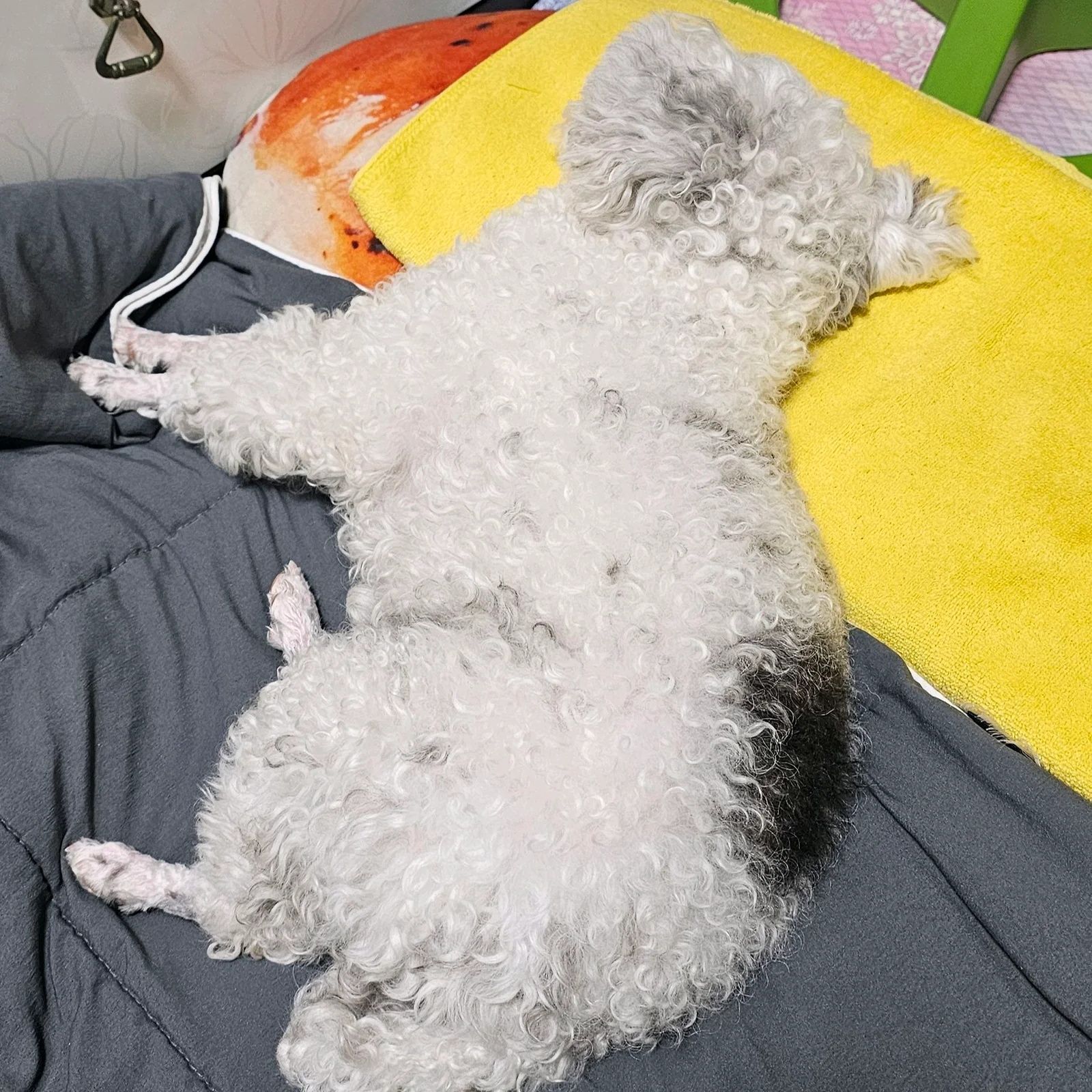 리뷰 사진 1