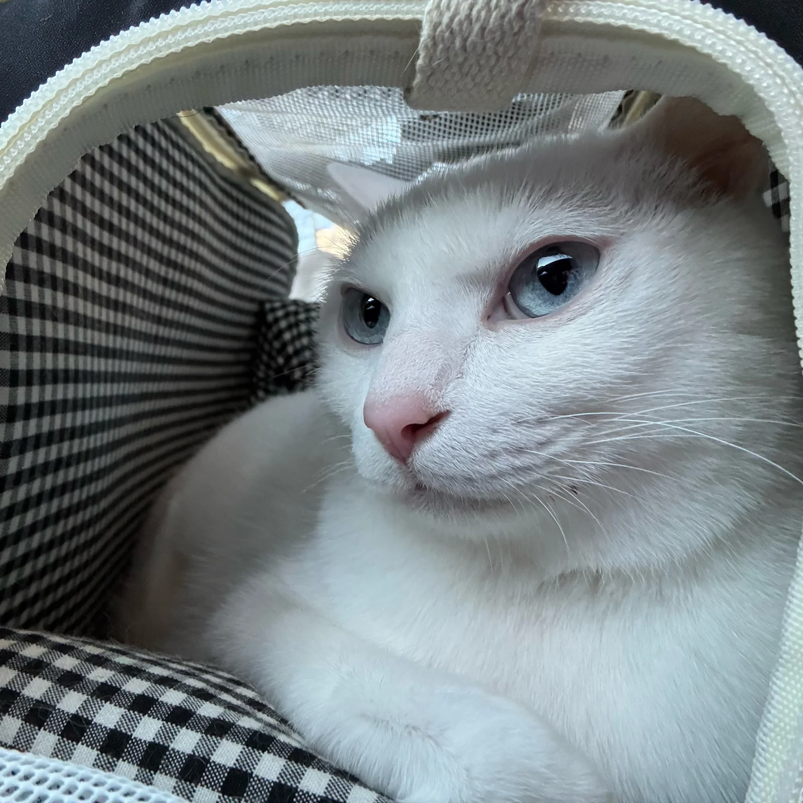 리뷰 사진 1