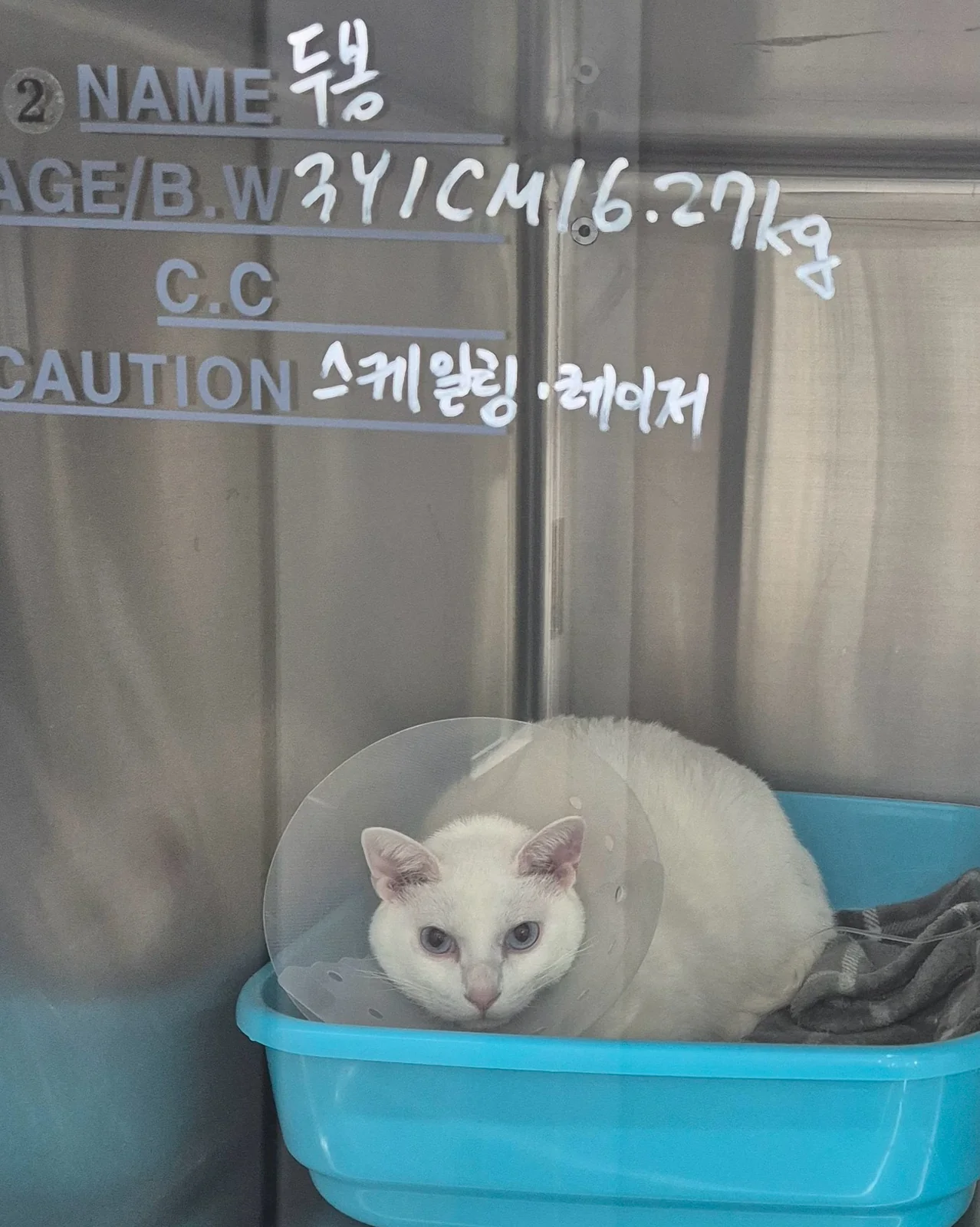 리뷰 사진 2
