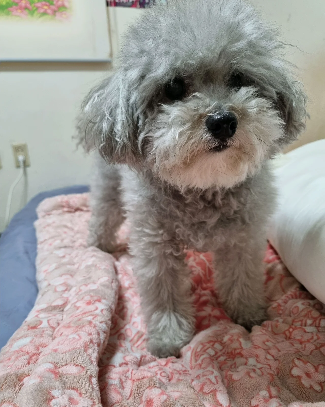 리뷰 사진 1