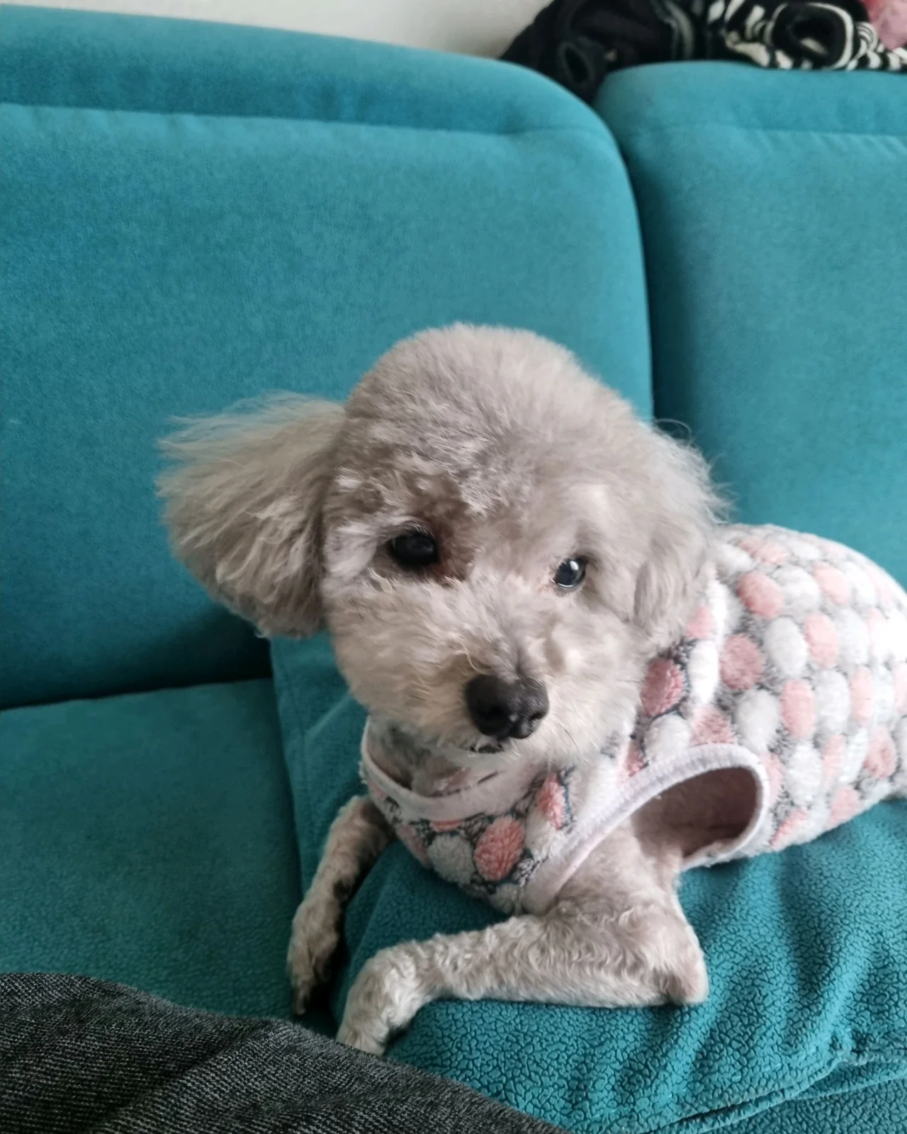 리뷰 사진 2