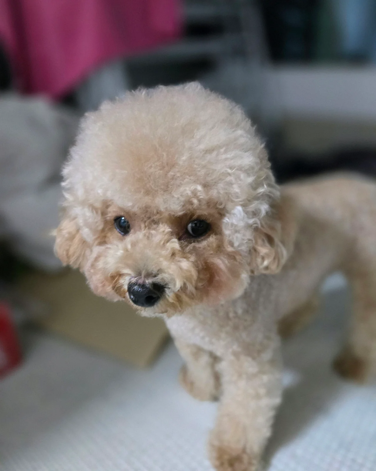 리뷰 사진 4