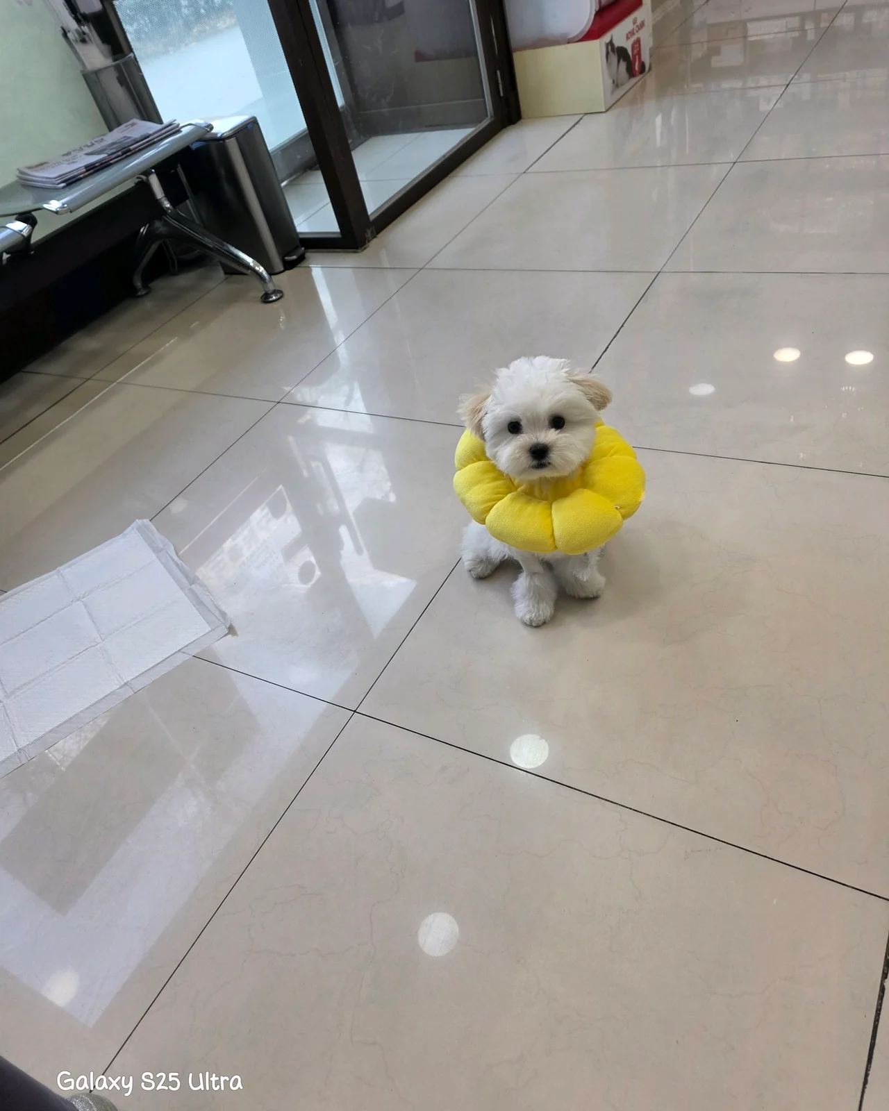 리뷰 사진 1