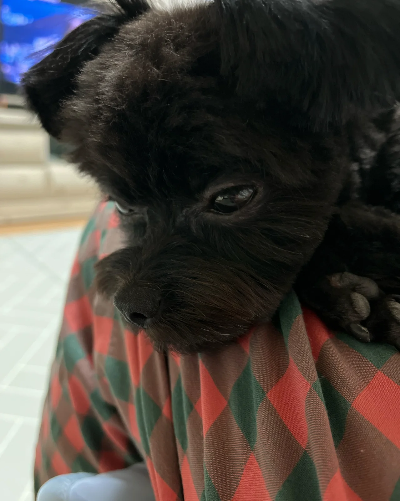 리뷰 사진 3