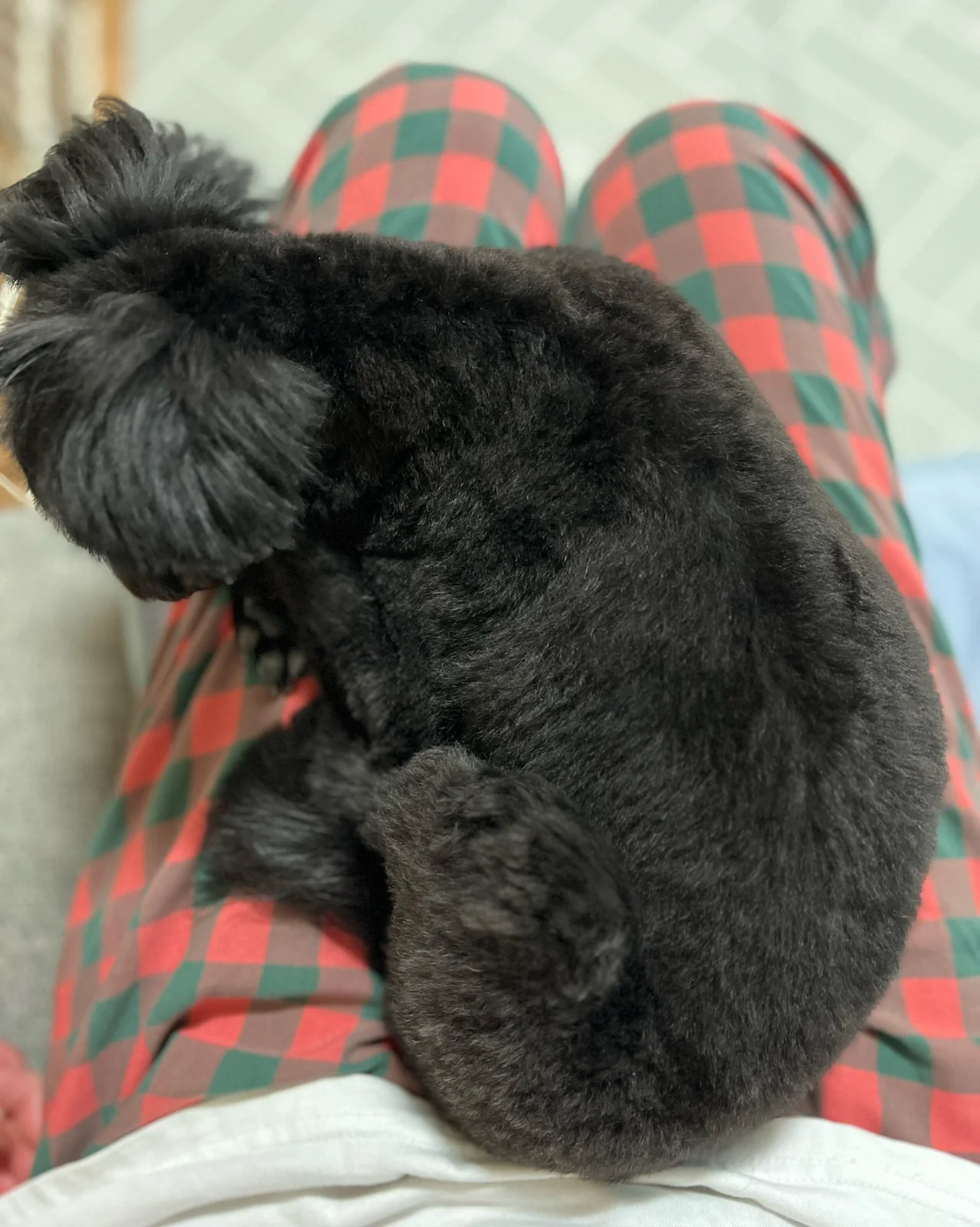 리뷰 사진 4