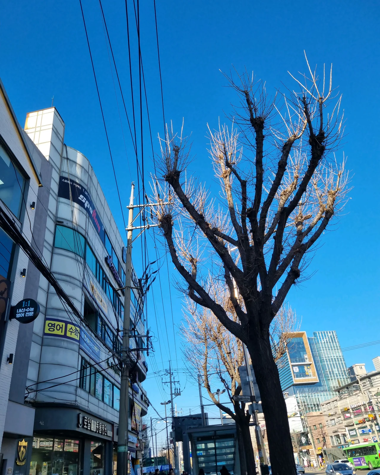 리뷰 사진 1