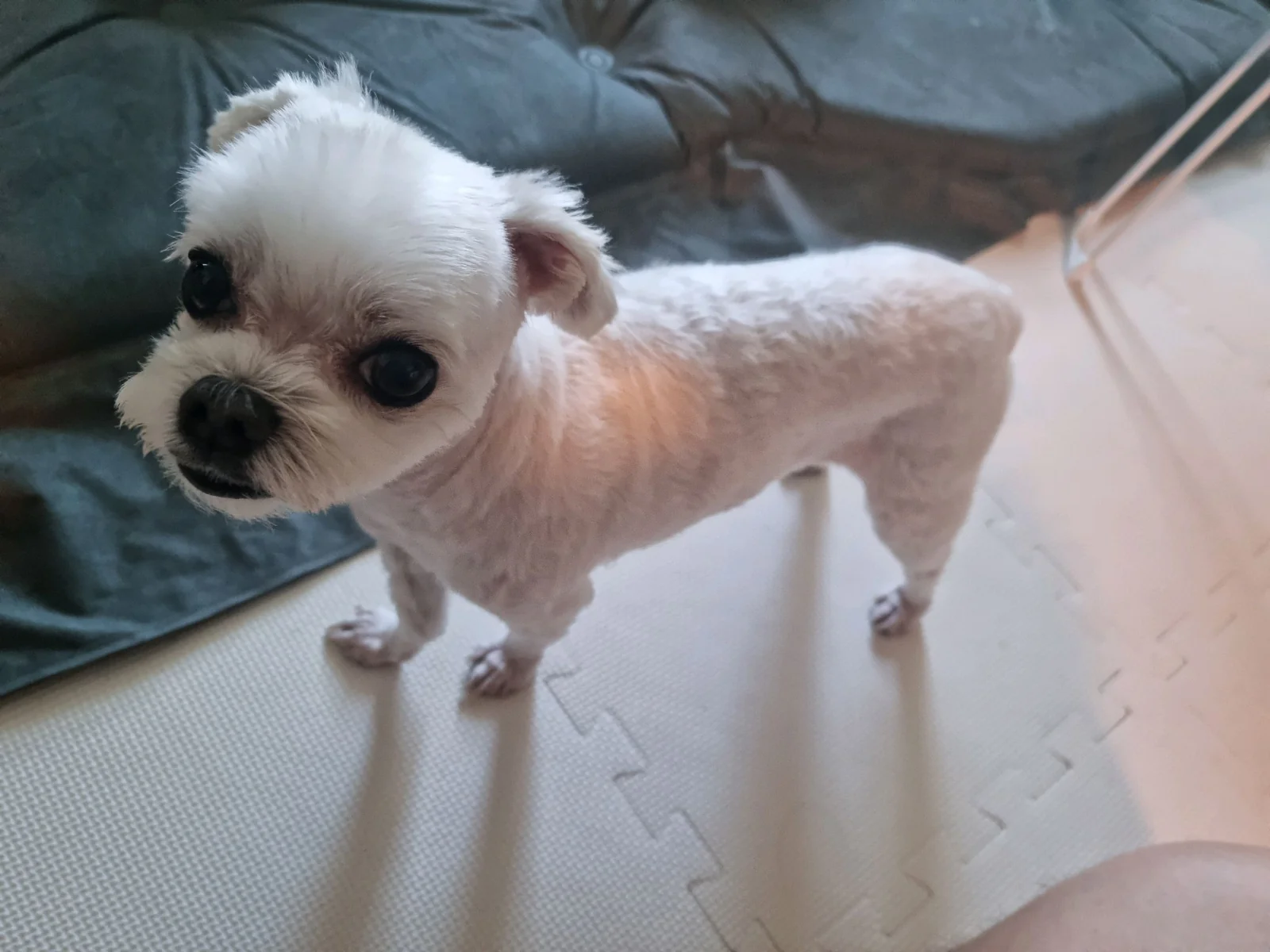 리뷰 사진 1