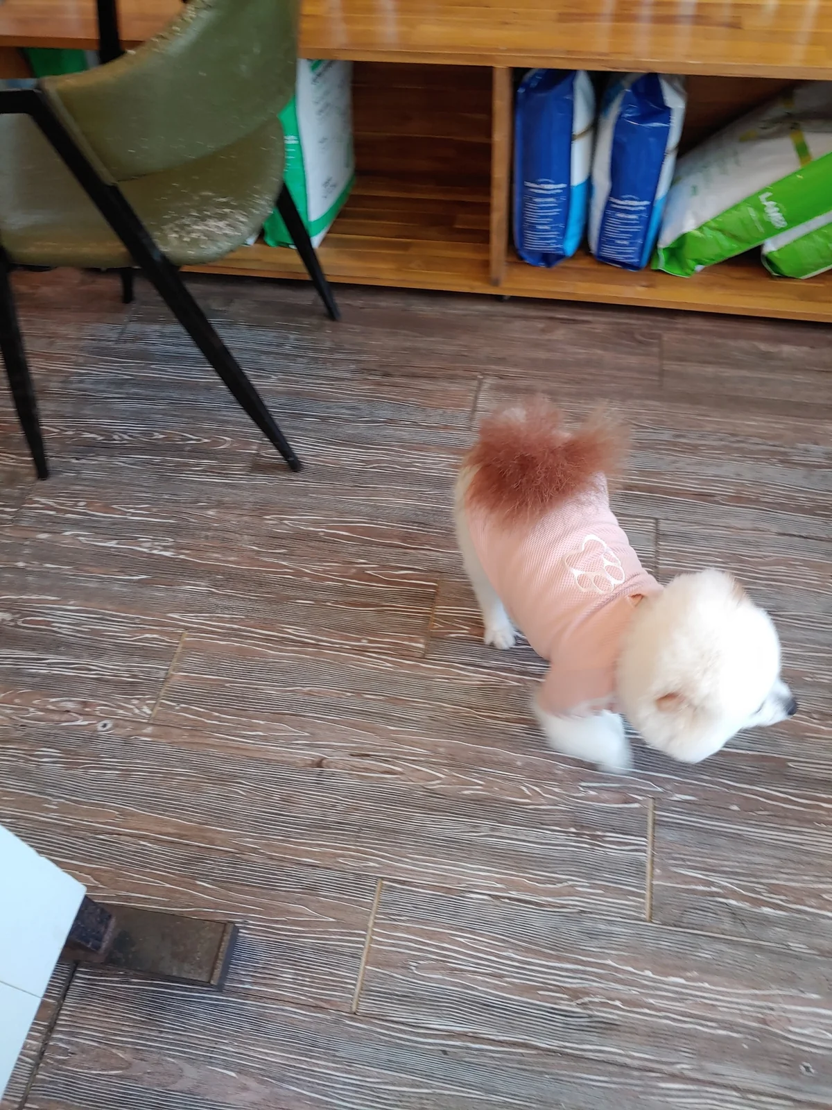 리뷰 사진 3