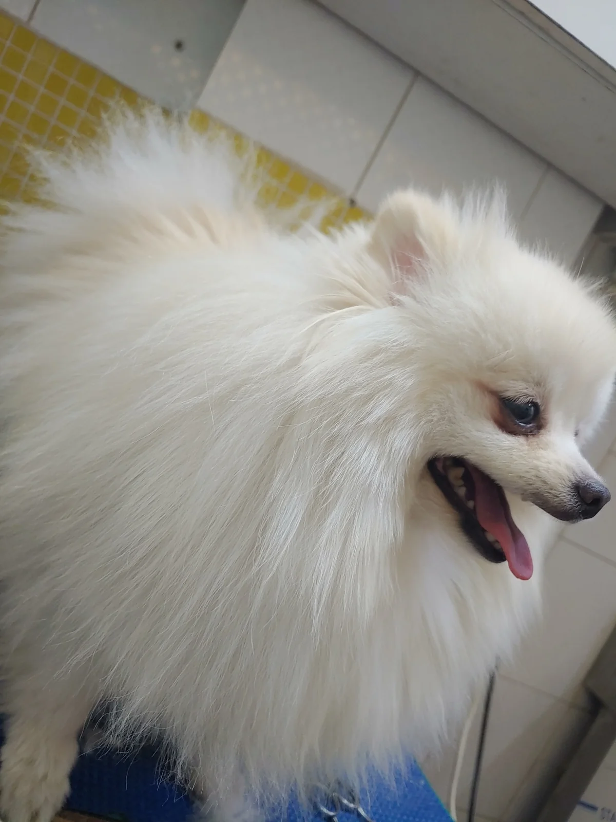 리뷰 사진 4