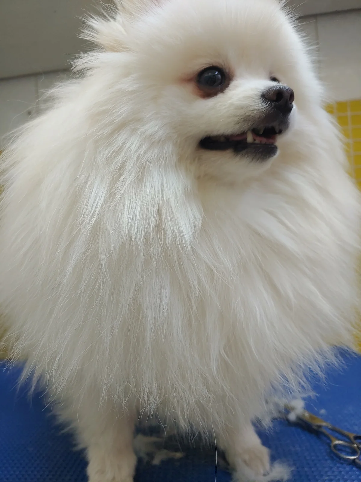 리뷰 사진 5