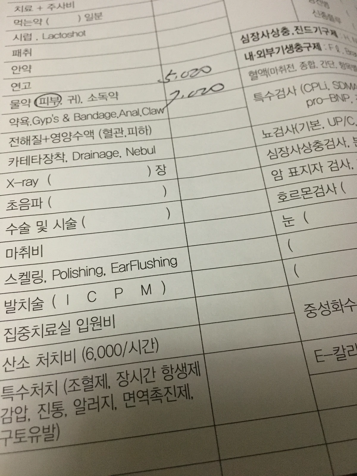 홍제동물병원 사진 2