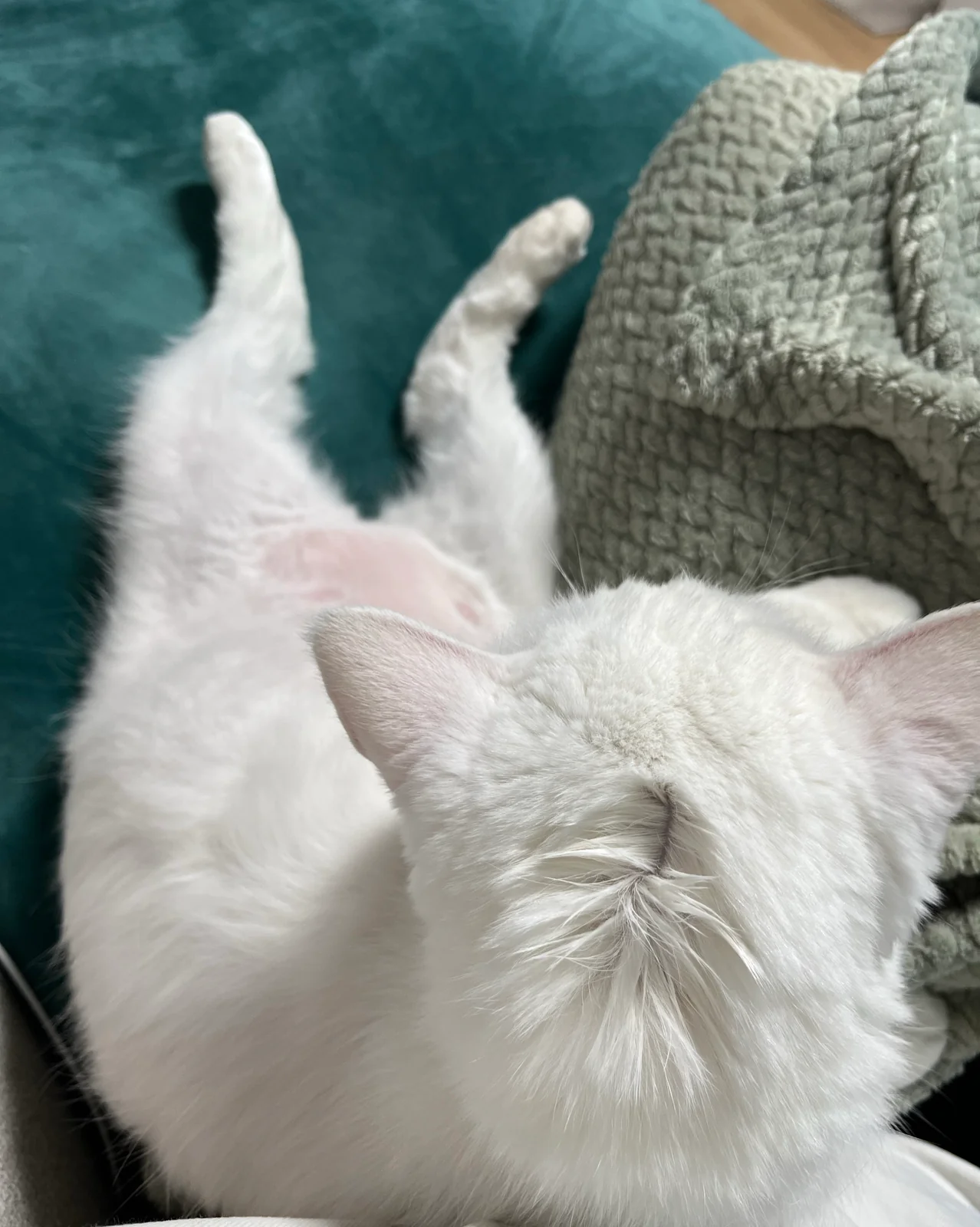 리뷰 사진 1