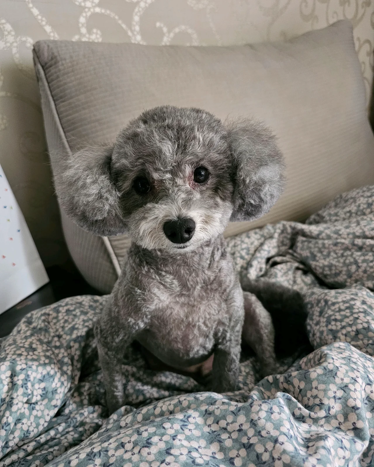 리뷰 사진 1
