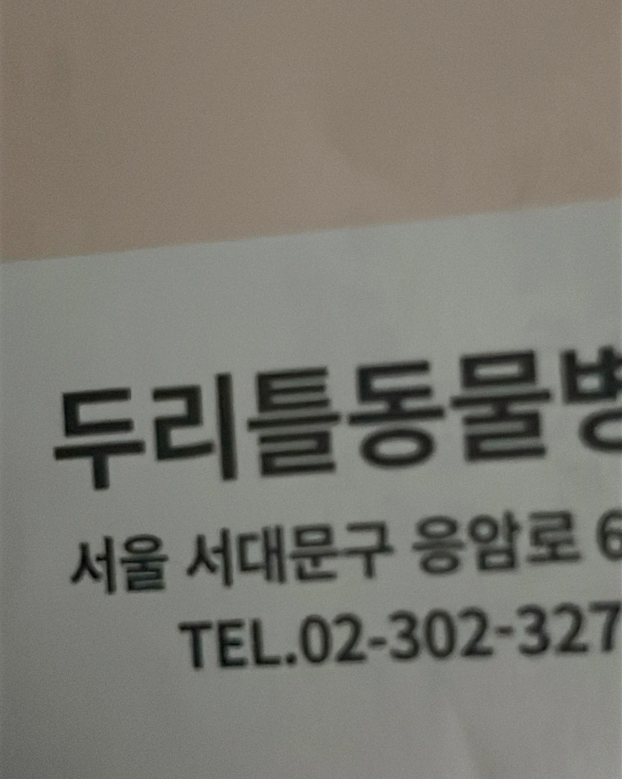 리뷰 사진 1