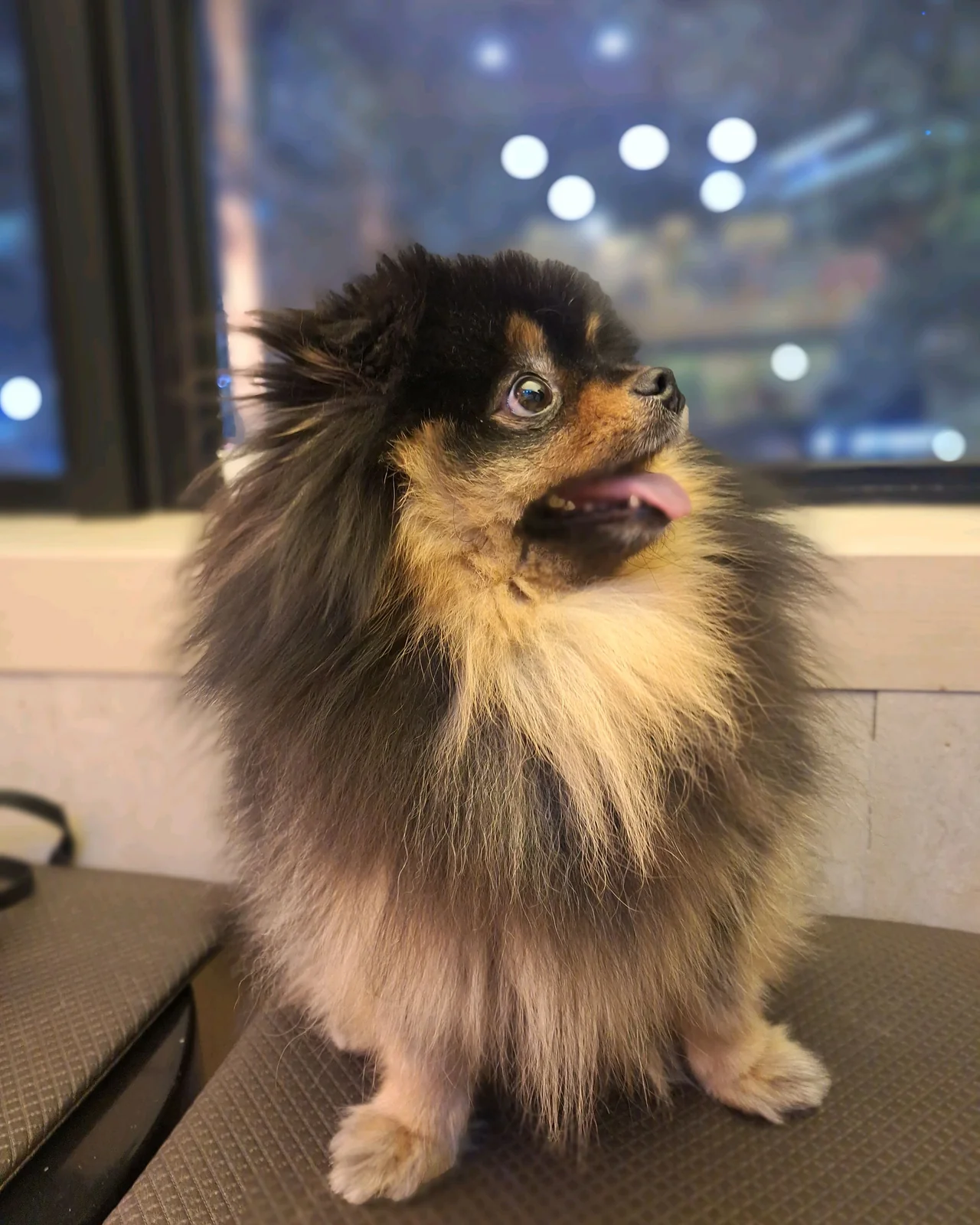 리뷰 사진 1