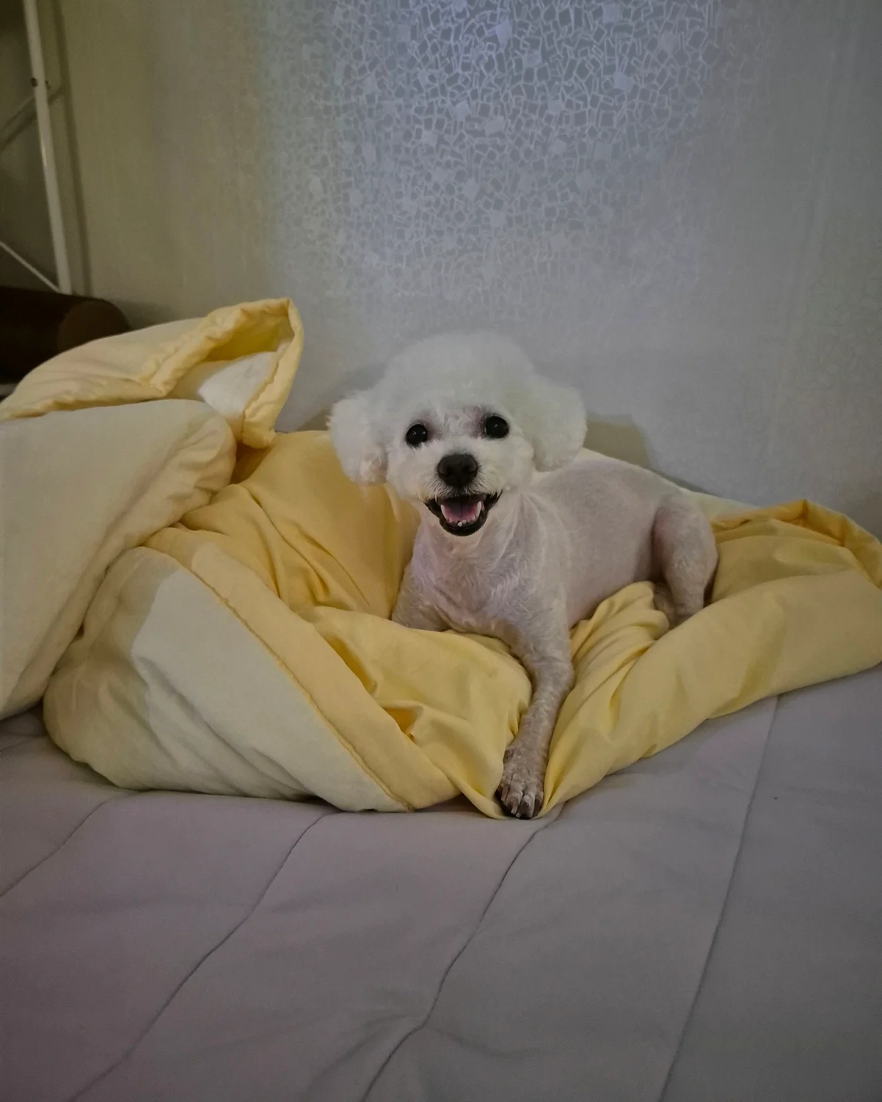 리뷰 사진 1