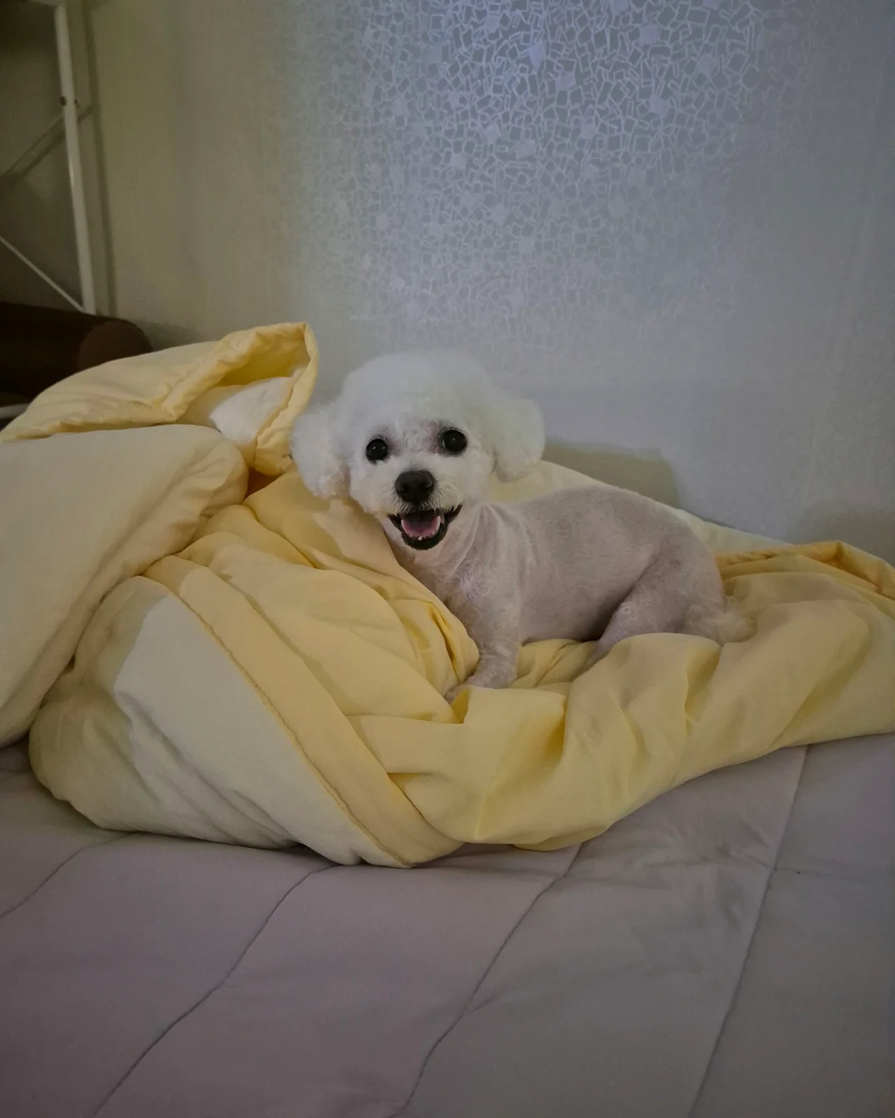 리뷰 사진 2