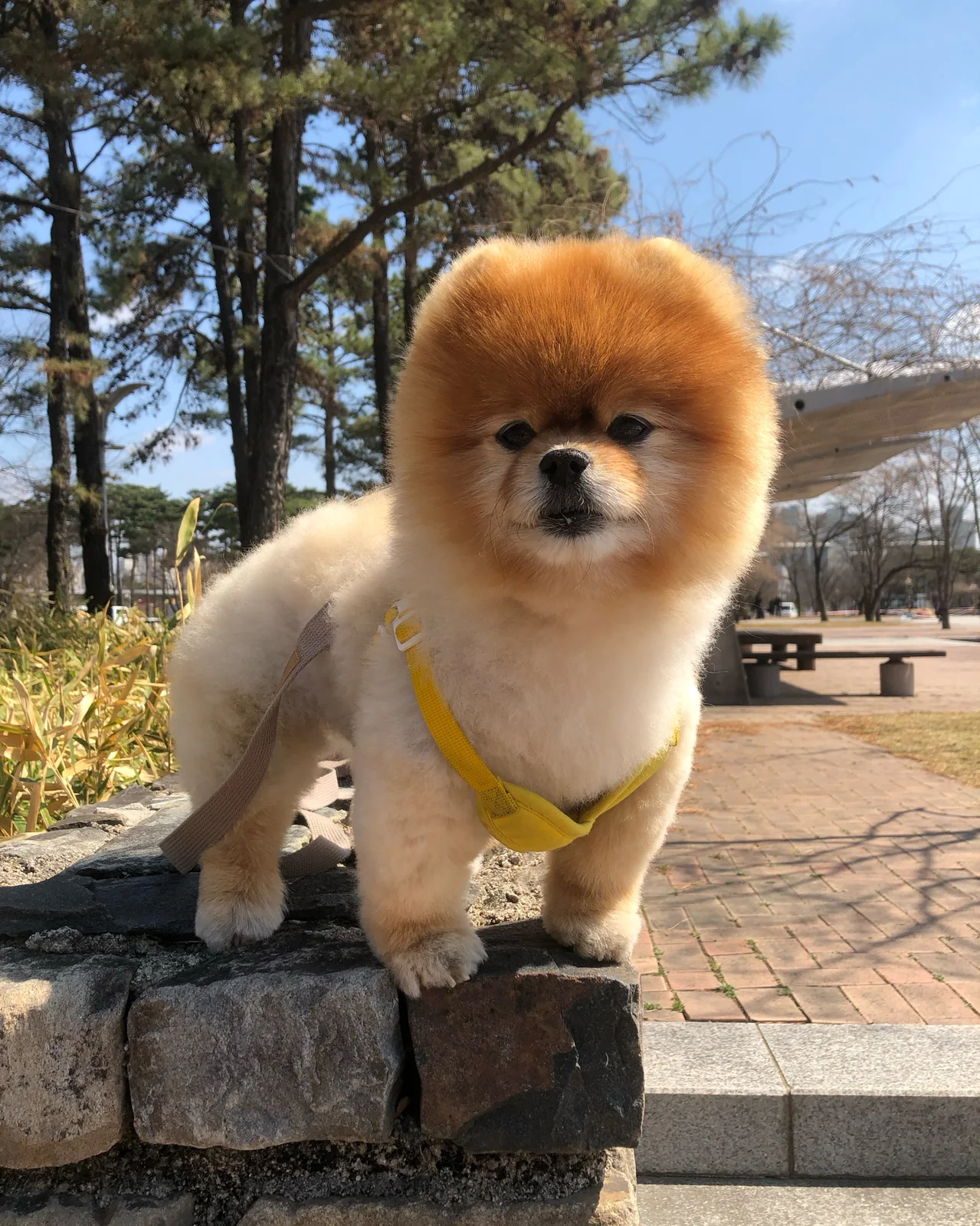 리뷰 사진 1