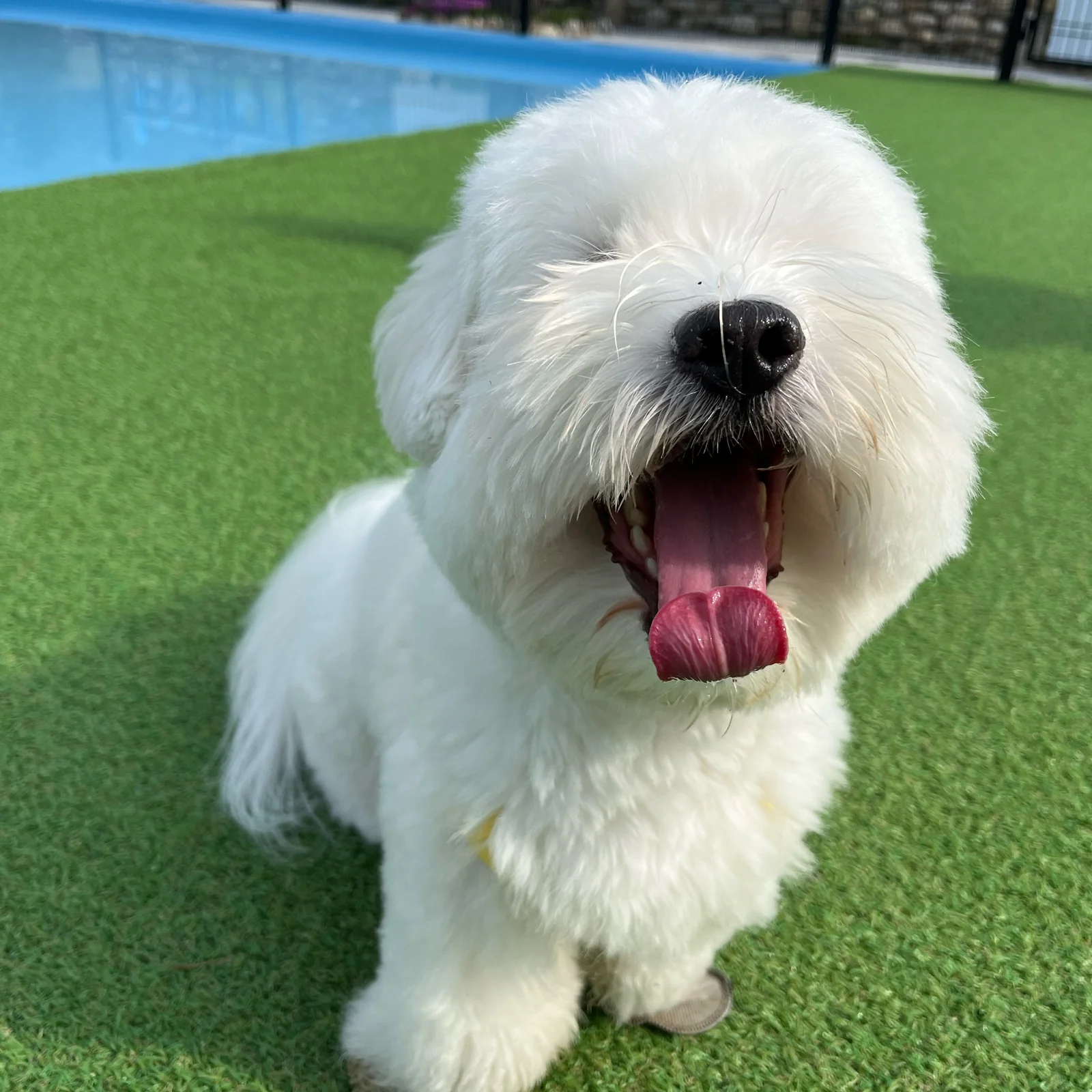 리뷰 사진 1