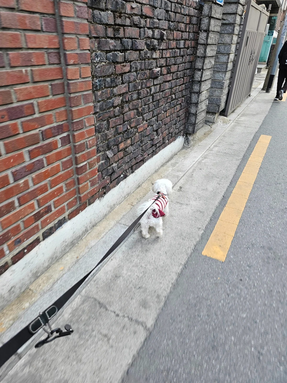 리뷰 사진 1
