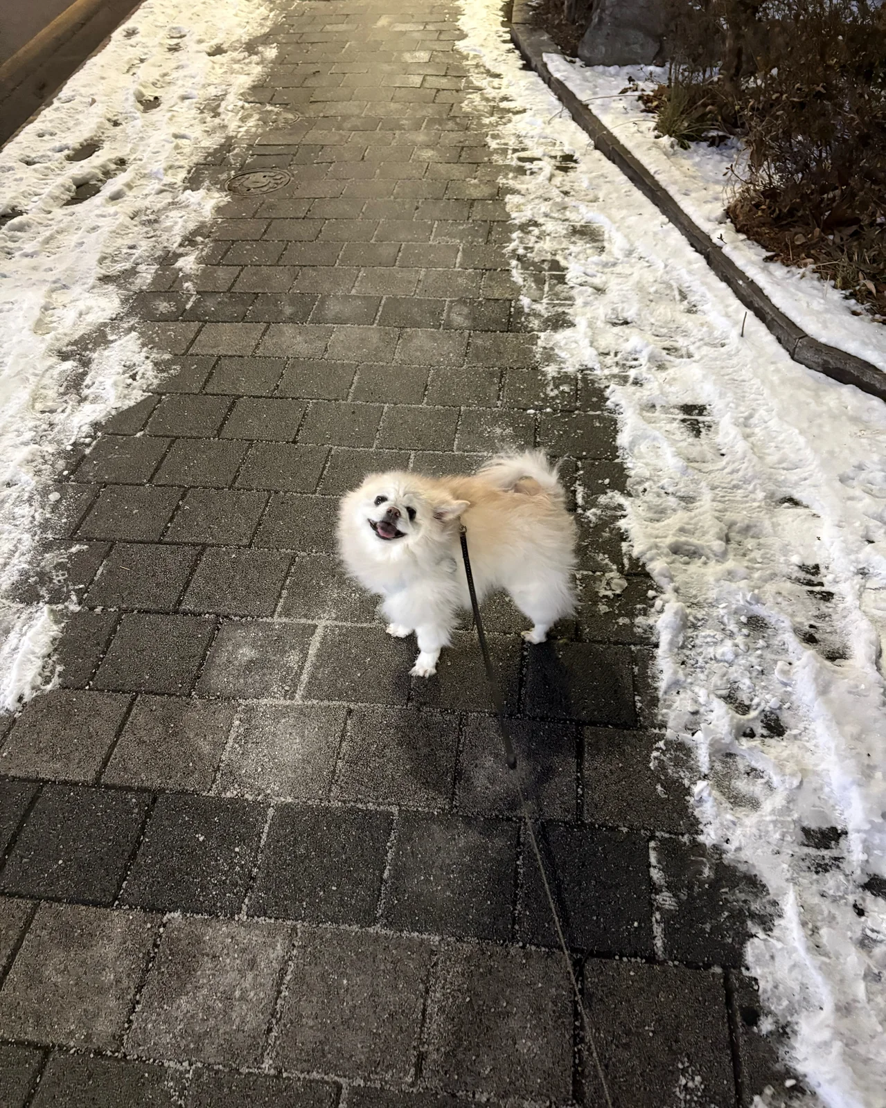 리뷰 사진 2