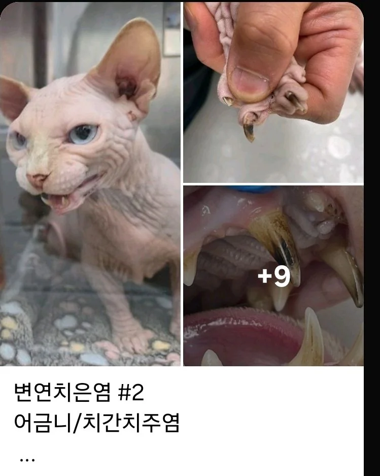 리뷰 사진 1