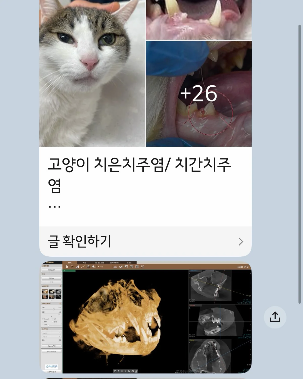 리뷰 사진 1
