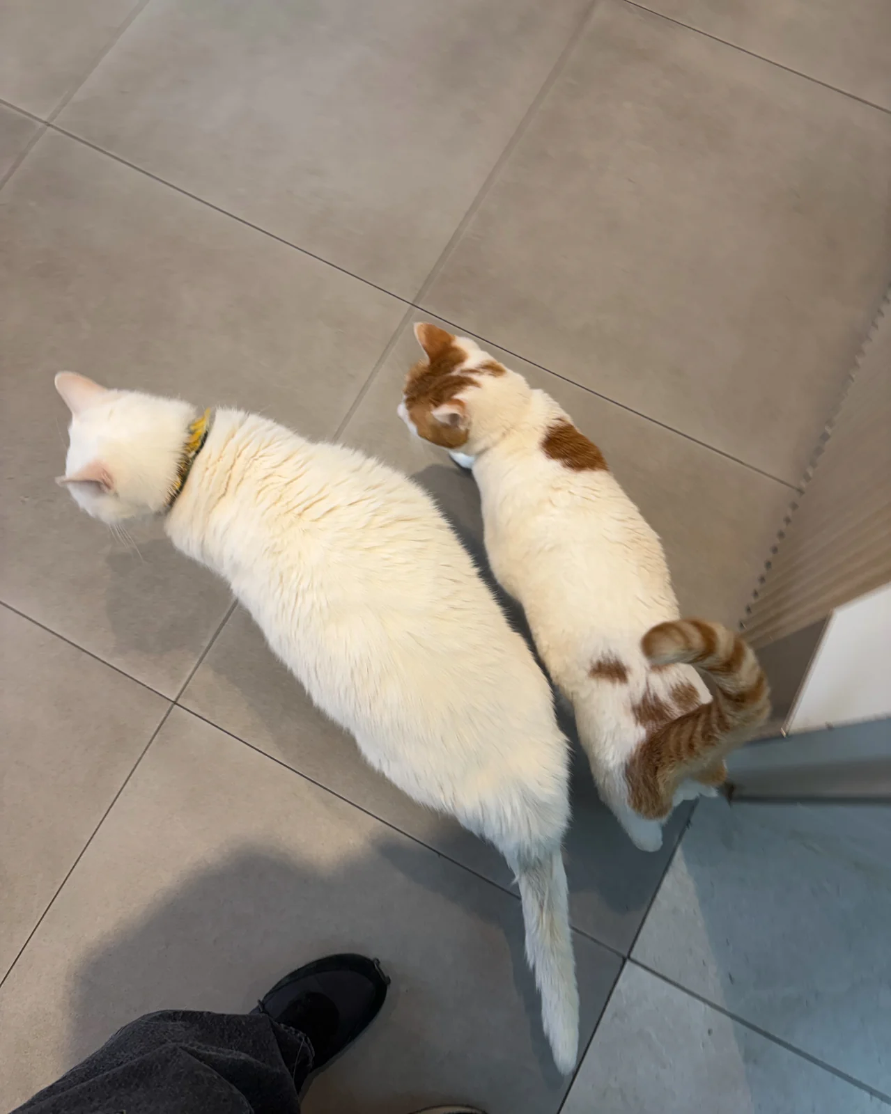 리뷰 사진 1