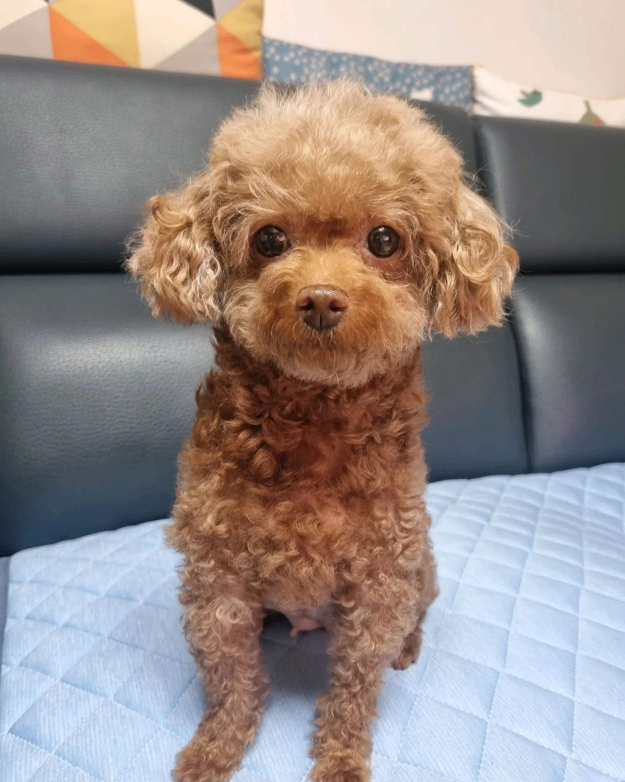 리뷰 사진 1