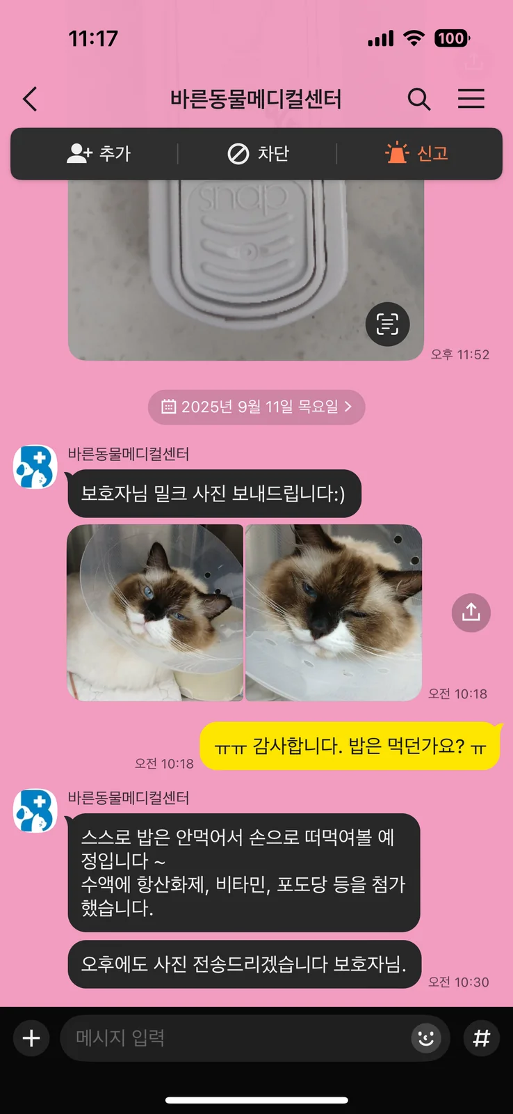 리뷰 사진 1