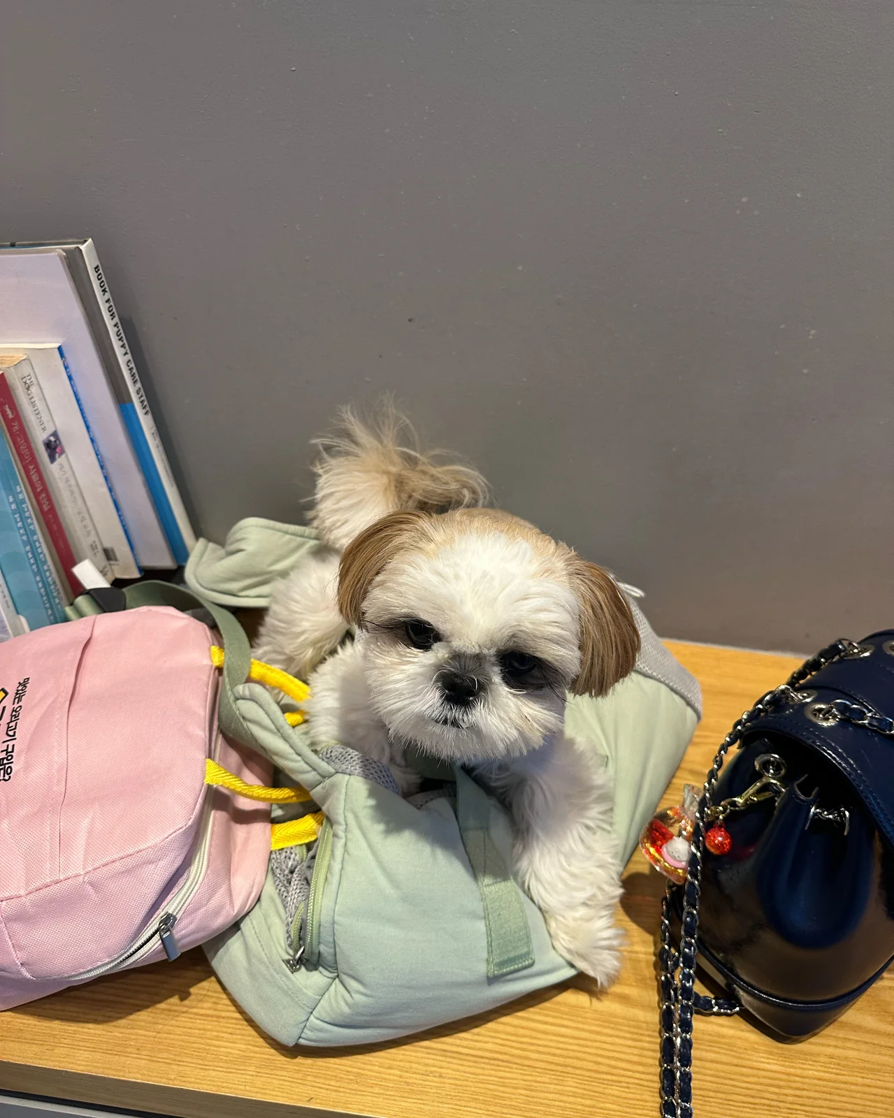 리뷰 사진 1