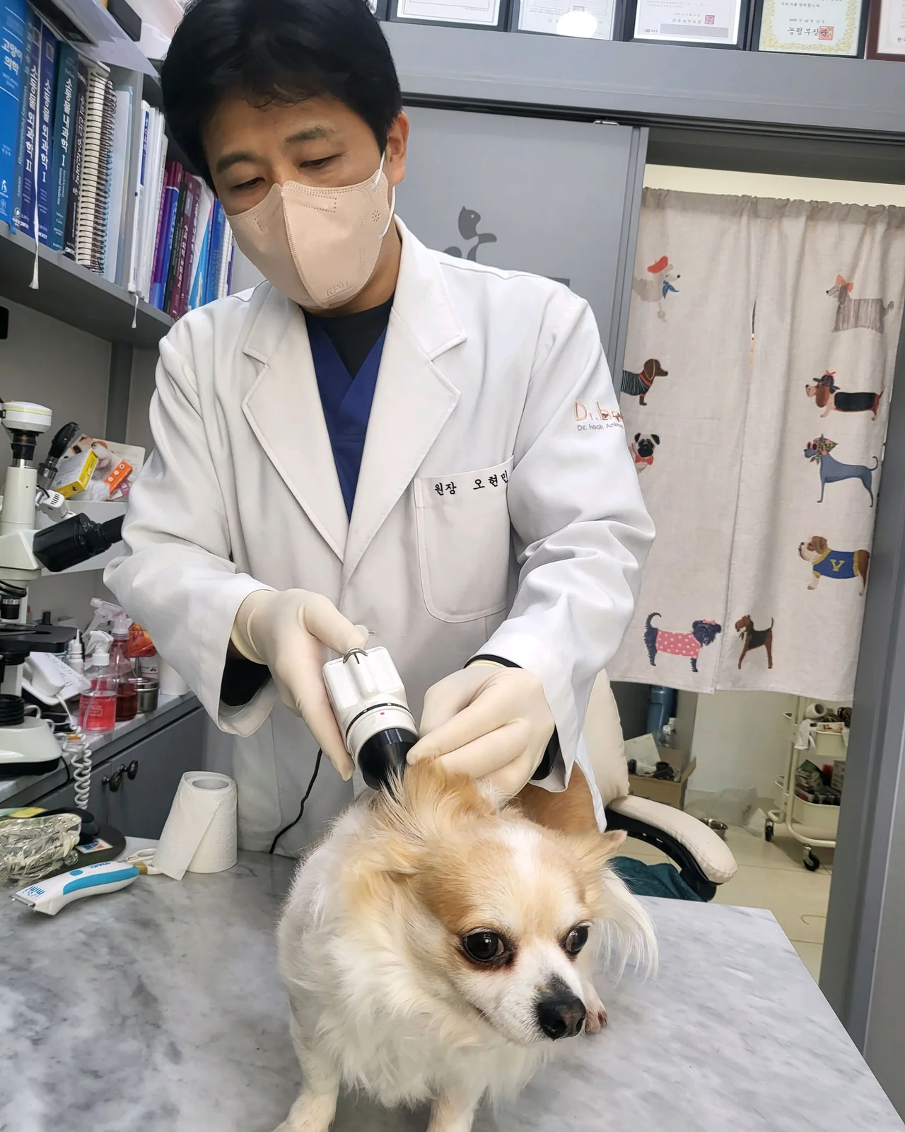 리뷰 사진 1
