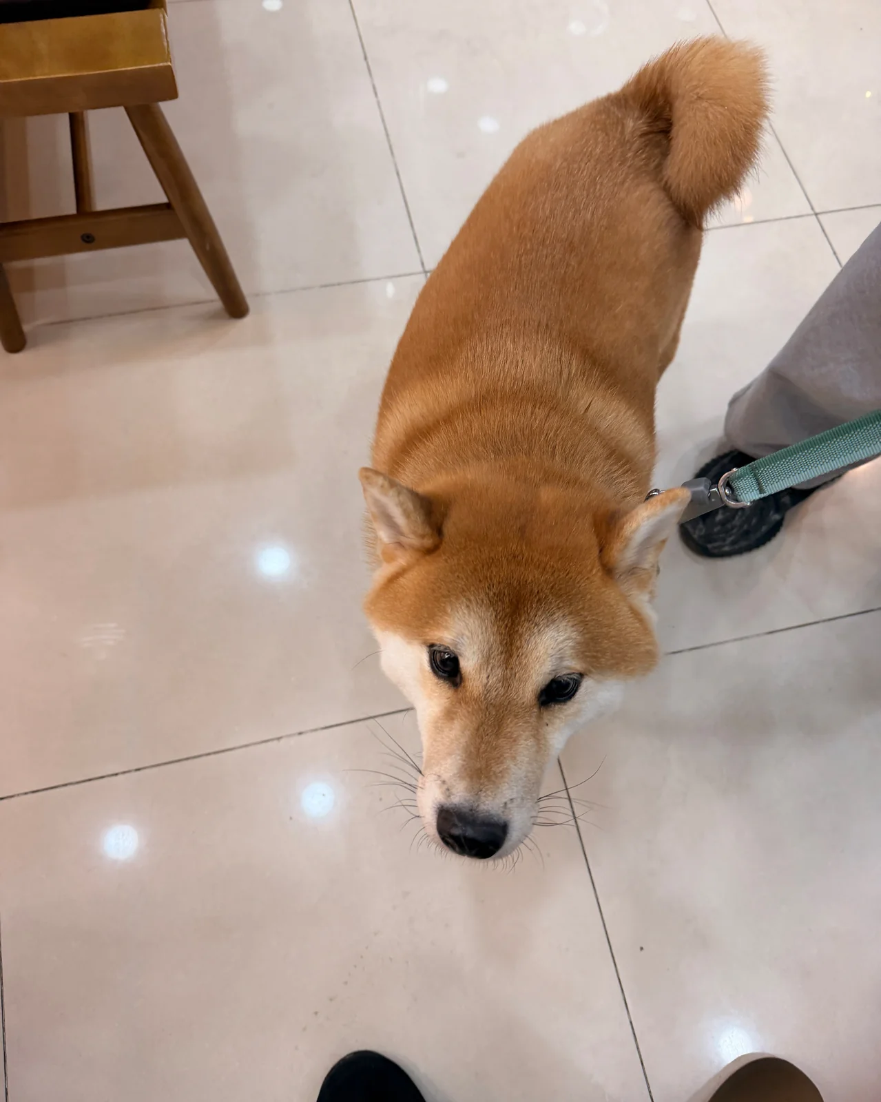 리뷰 사진 2