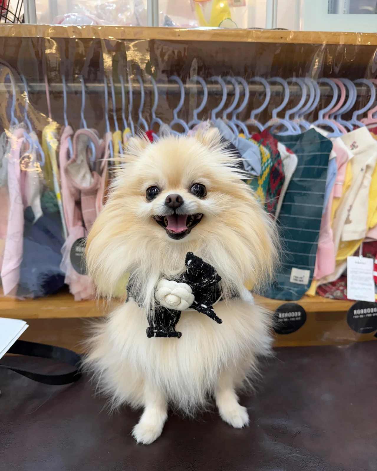 리뷰 사진 5