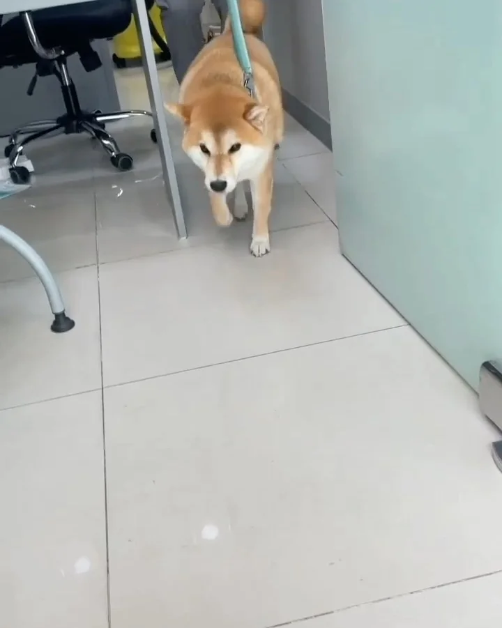 리뷰 사진 1