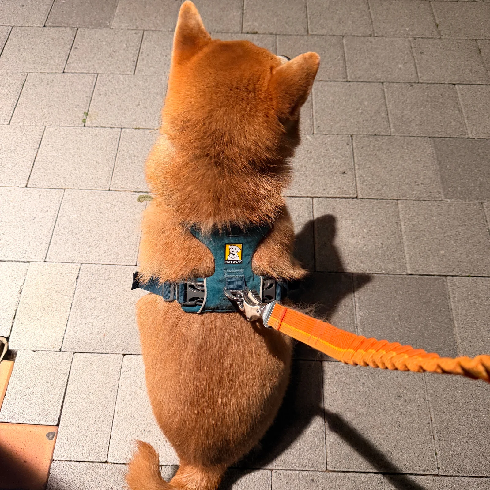 리뷰 사진 3