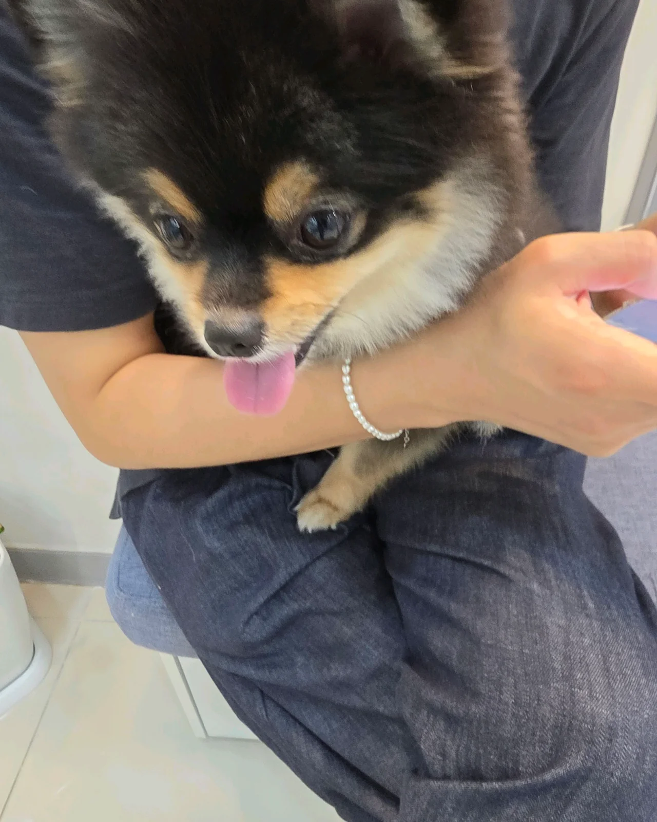 리뷰 사진 1