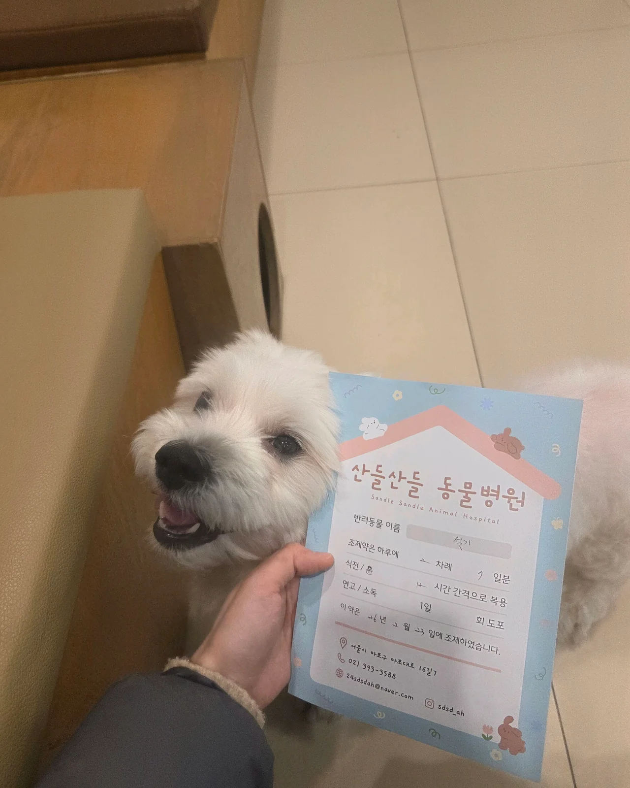 리뷰 사진 1