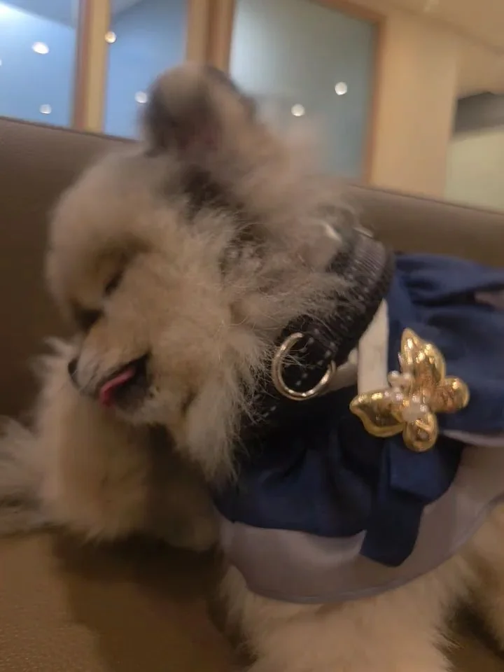 리뷰 사진 1