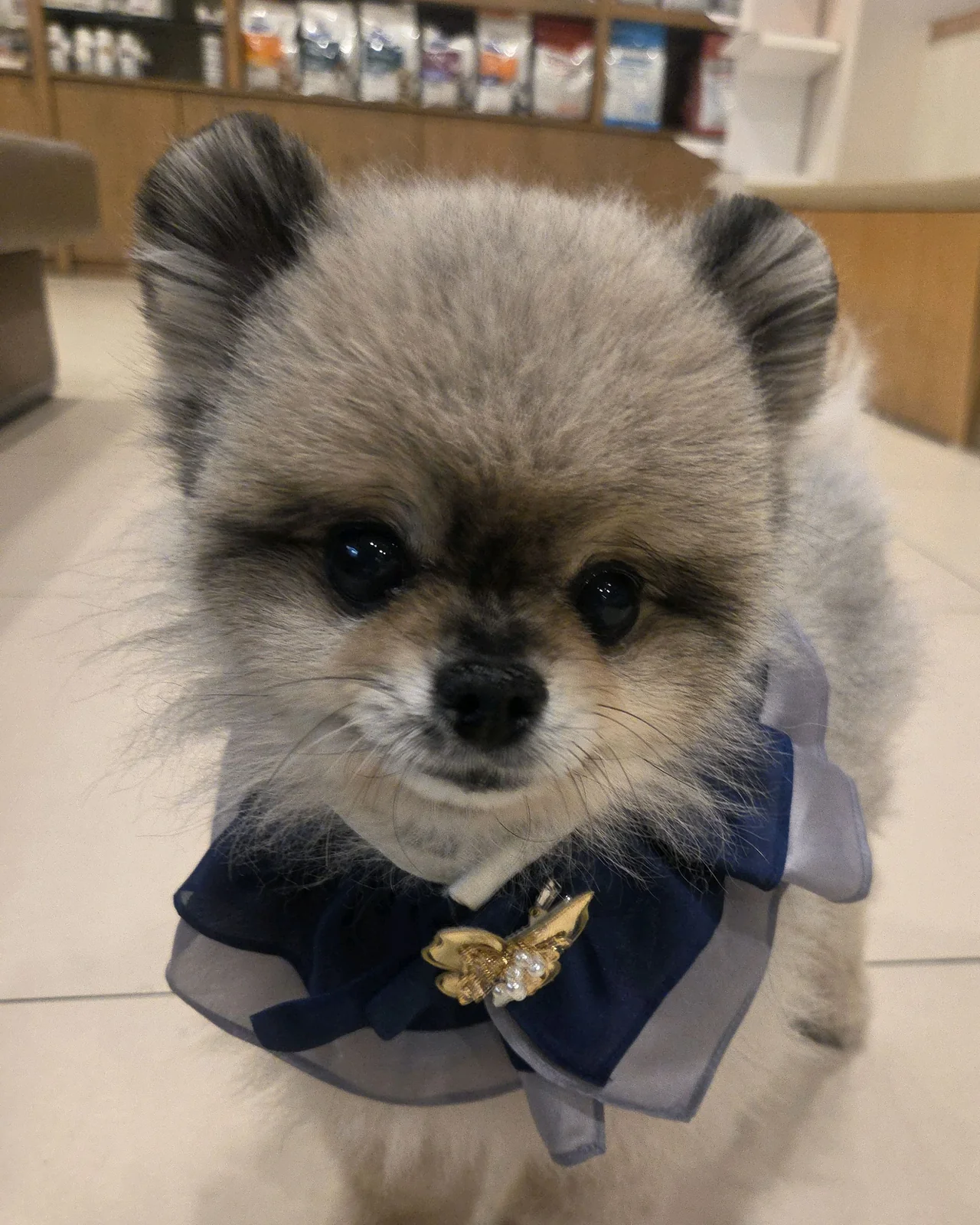 리뷰 사진 2