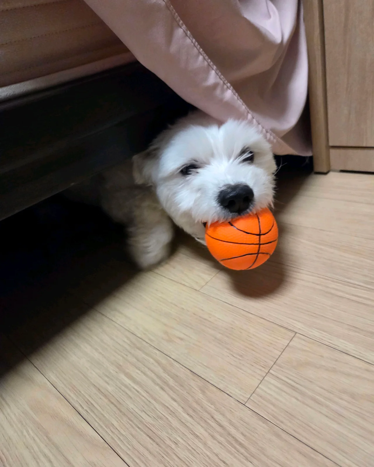 리뷰 사진 1
