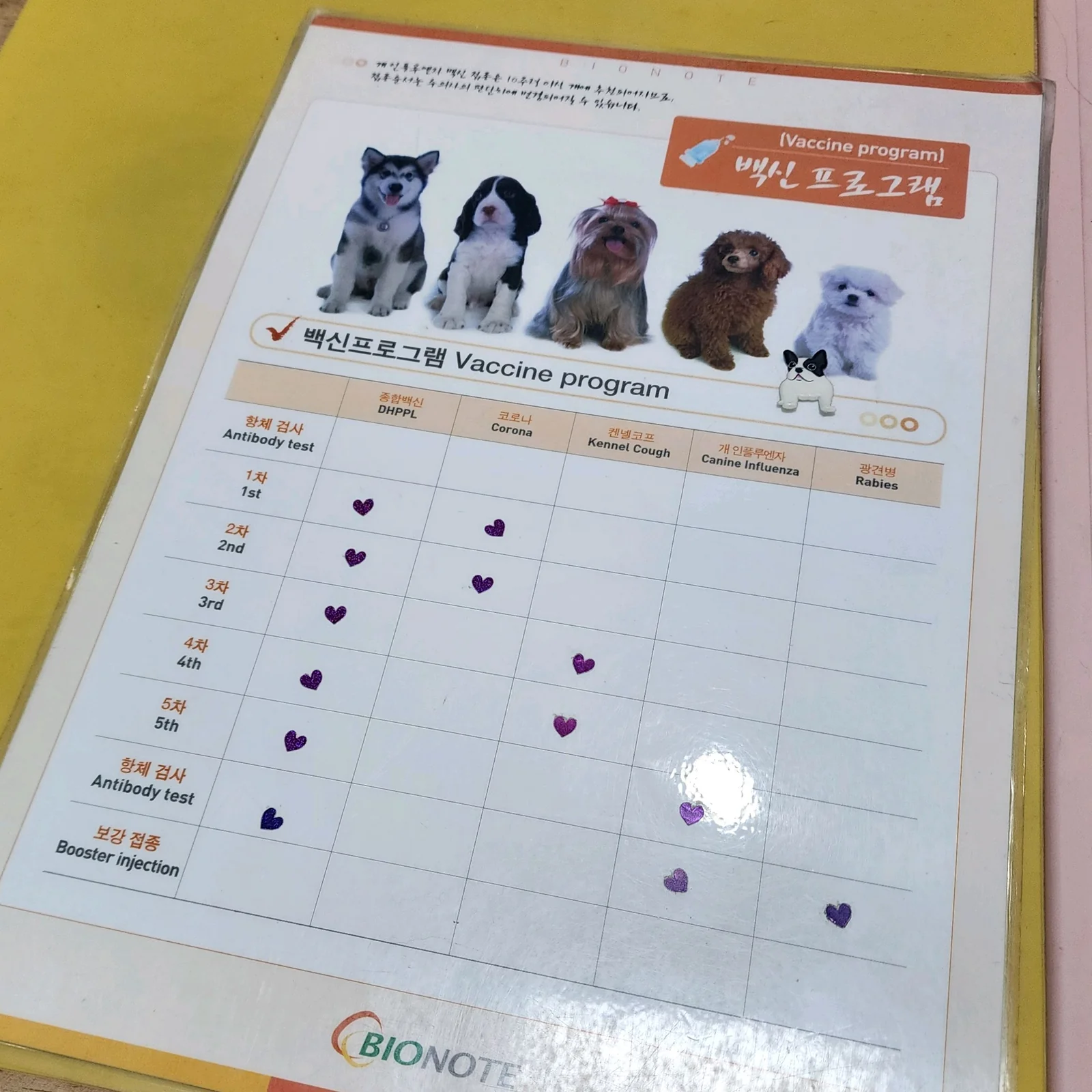 리뷰 사진 1