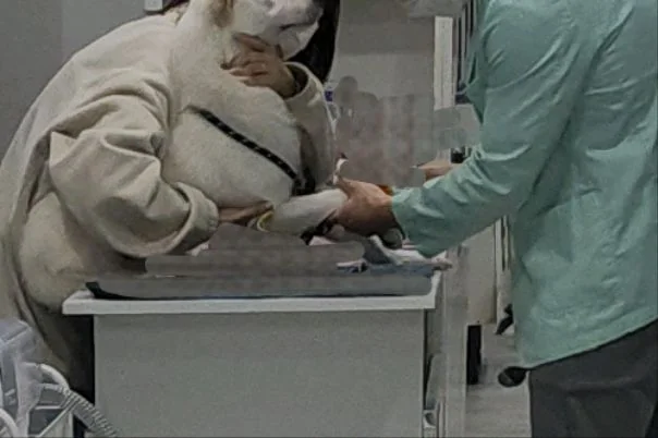 리뷰 사진 2