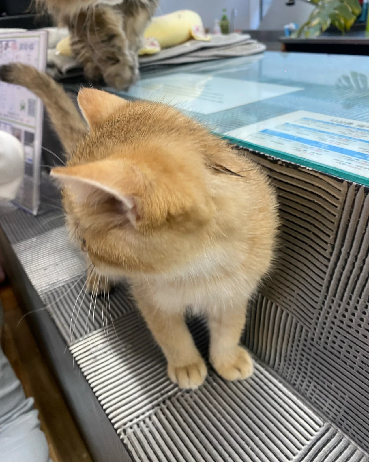 리뷰 사진 1