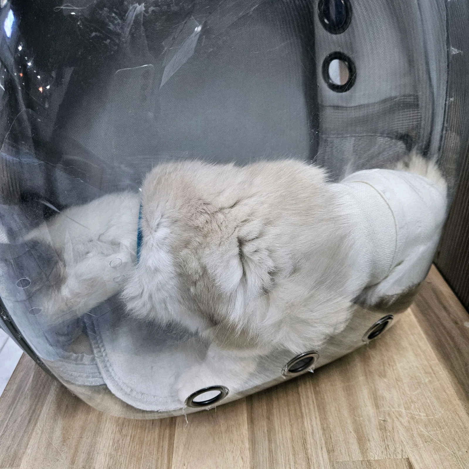 리뷰 사진 1