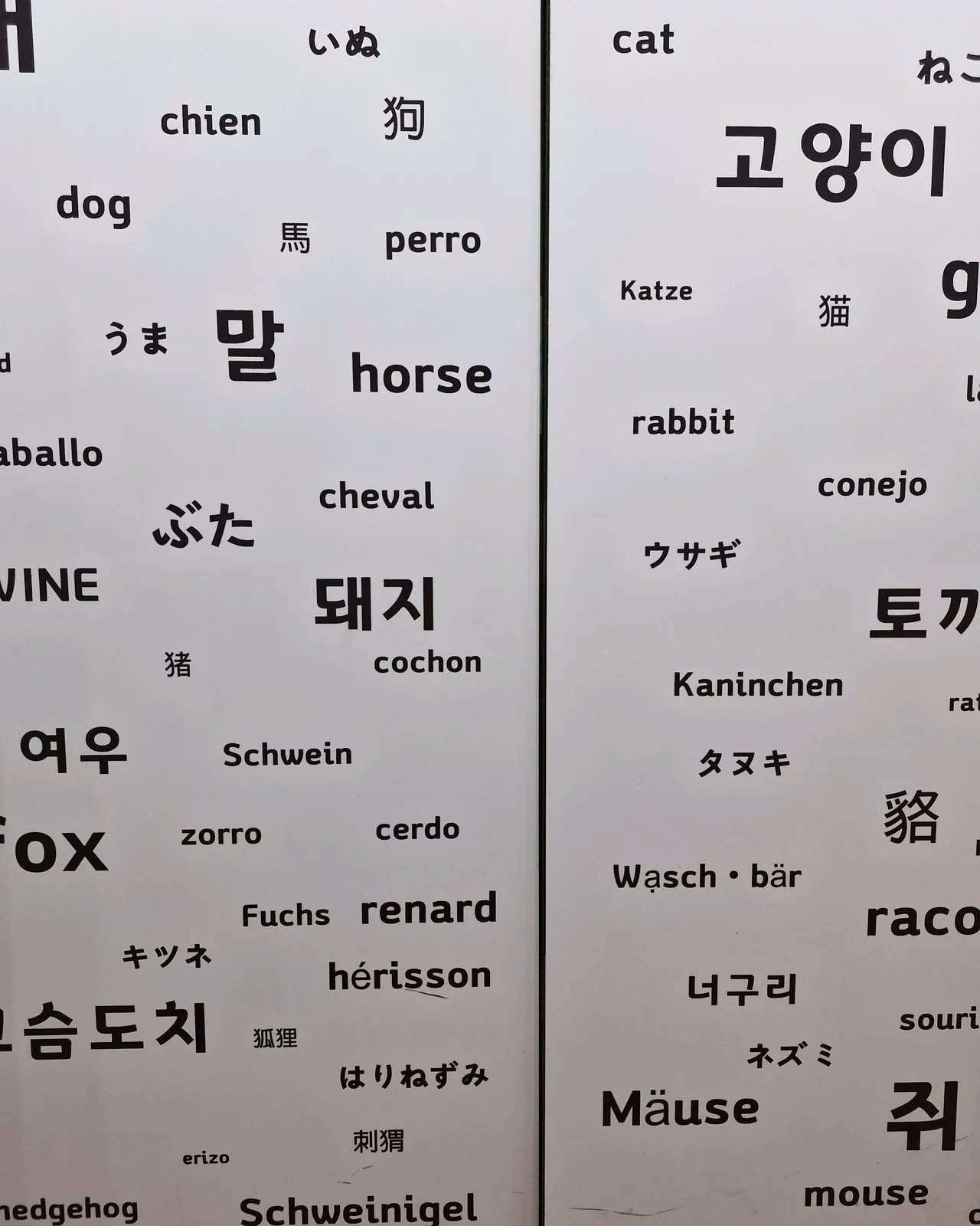 리뷰 사진 10