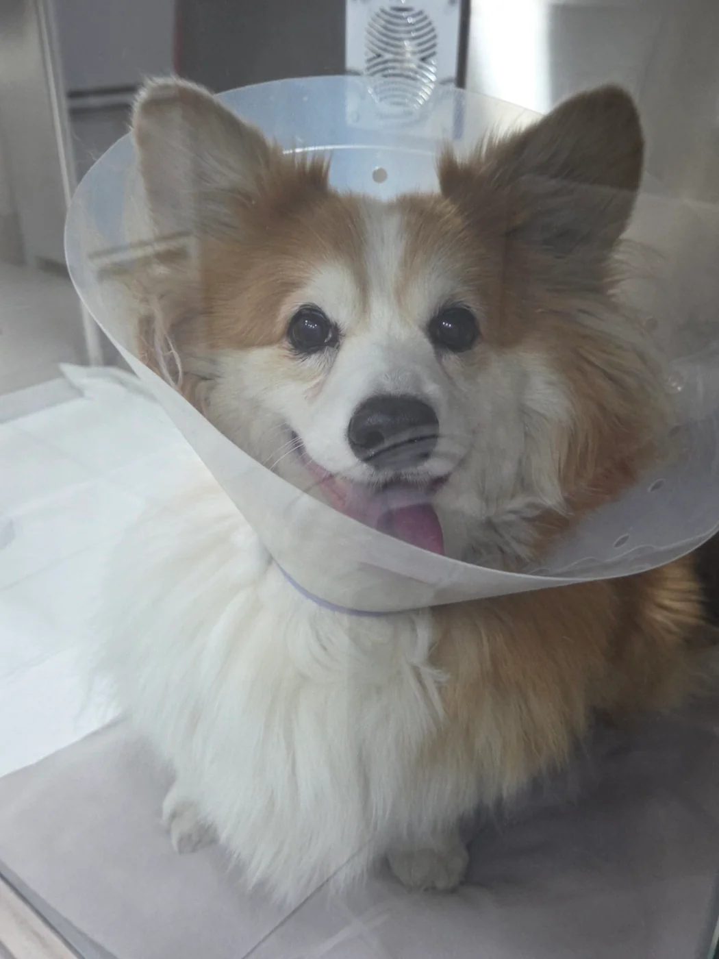 리뷰 사진 1
