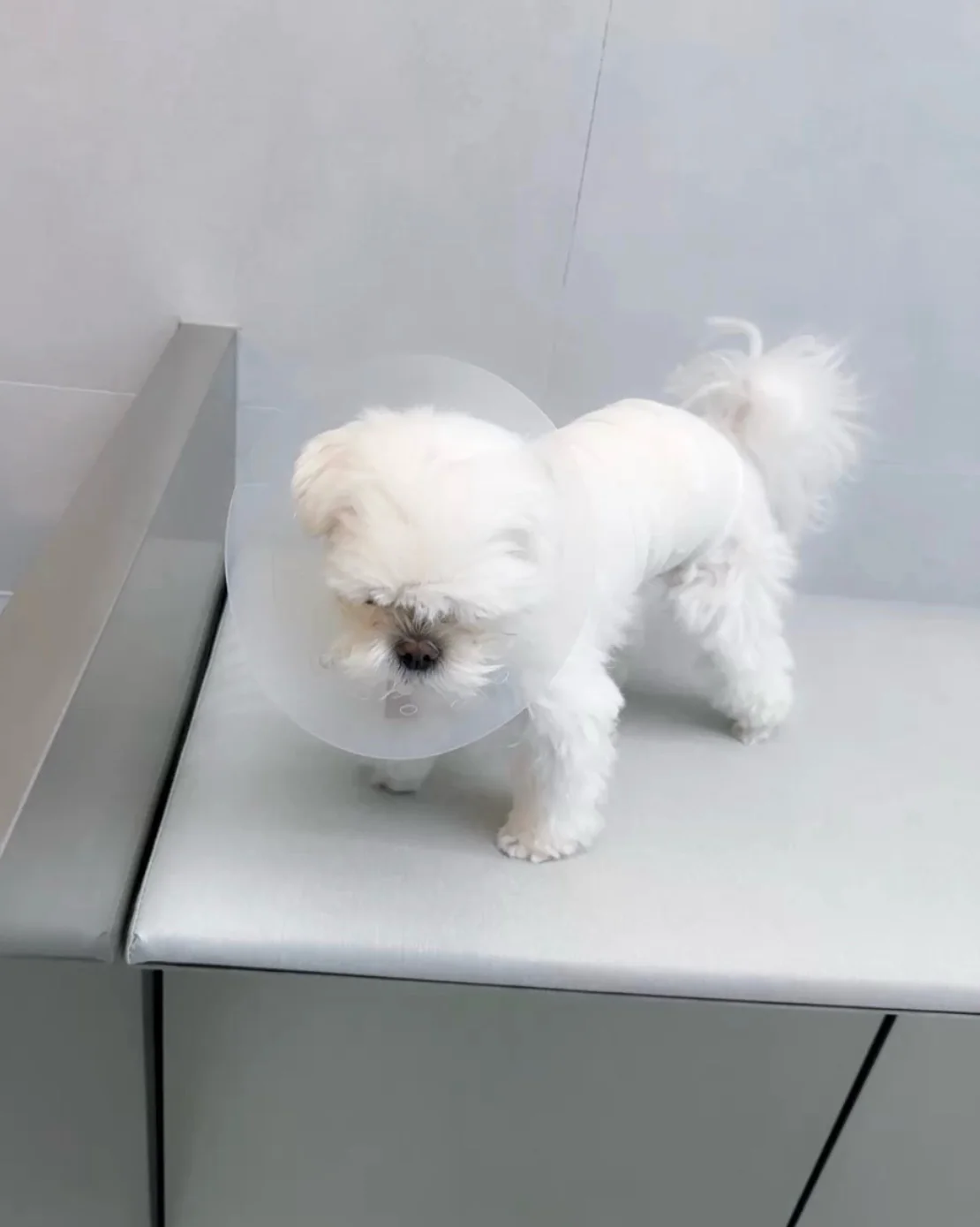 리뷰 사진 1