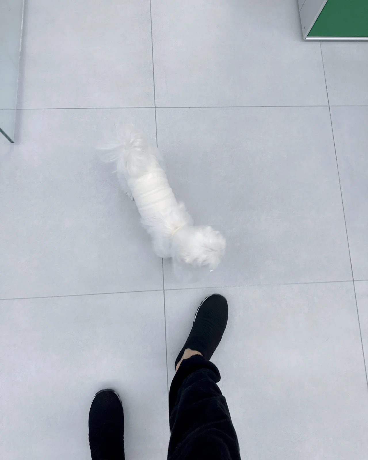 리뷰 사진 2